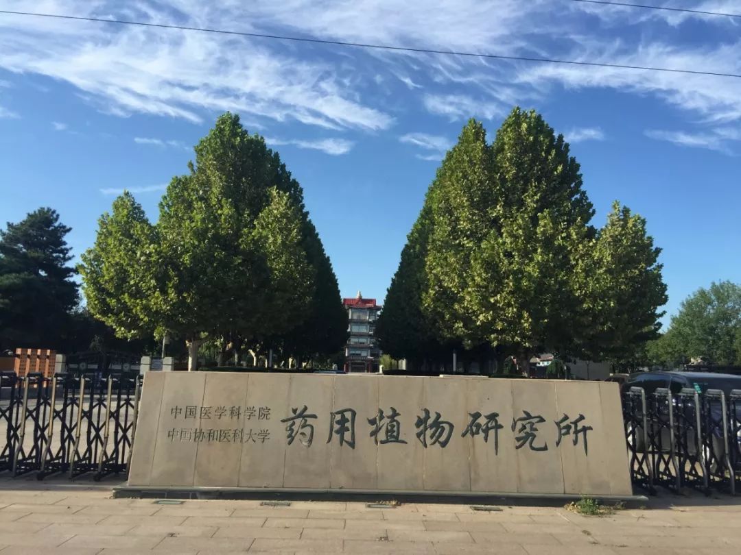 中国医学科学院药用植物研究所